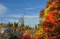 As fantásticas cores de Outono nas ruas de Ashland, no sul do Oregon, nos Estados Unidos